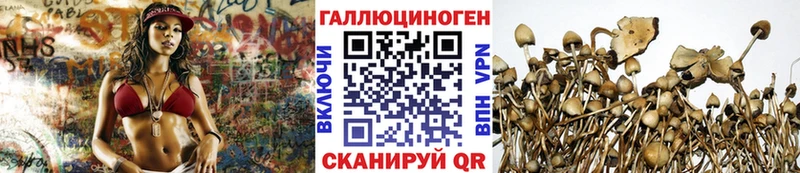 Псилоцибиновые грибы прущие грибы  Купить где  Камешково 